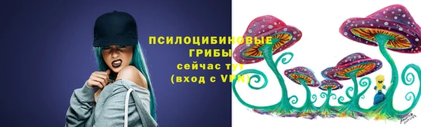 дживик Бугульма