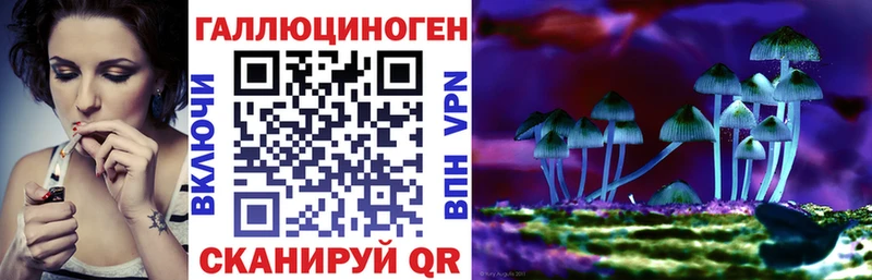 Псилоцибиновые грибы Cubensis как найти Ростов